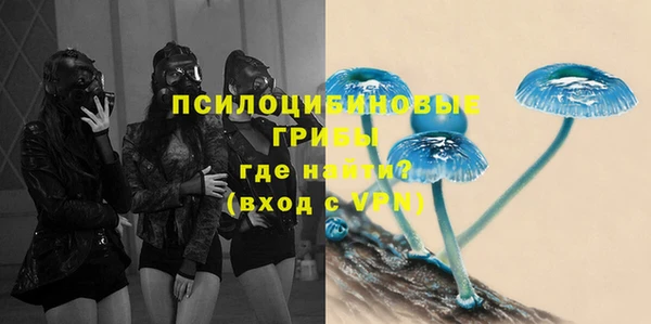 мяу мяу мука Лагань