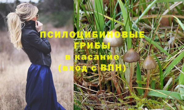 дживик Ладушкин