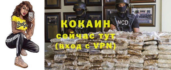 дживик Ладушкин