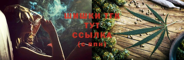дживик Ладушкин