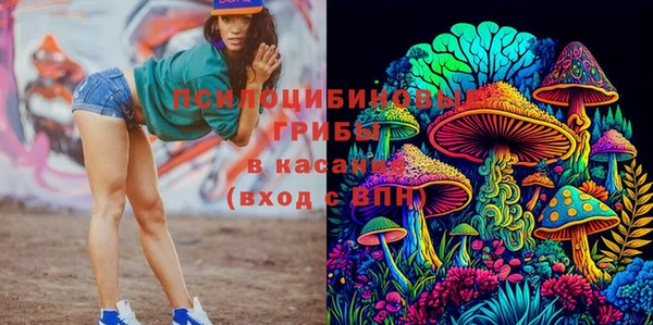 дживик Ладушкин