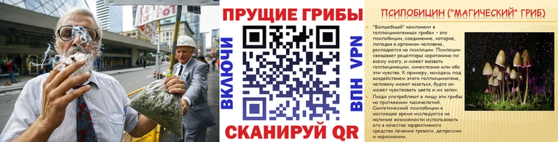 купить  сайты  мега как зайти  Галлюциногенные грибы ЛСД  Афипский 
